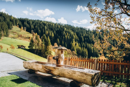 bauernhofurlaub-grassbichlhof-altenmarkt-zauchensee31