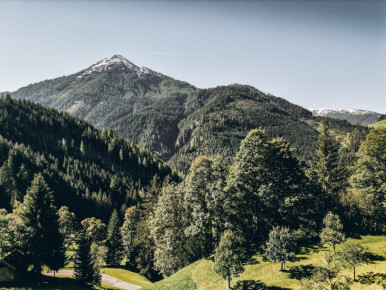 Sommerurlaub am Urlaub am Bauernhof - Grassbichlhof in Altenmarkt