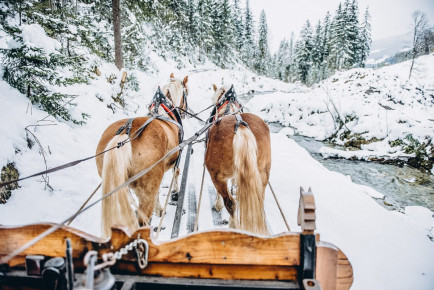 Pferdeschlittenfahrt Altenmarkt - Zauchensee - Grassbichlhof Appartements