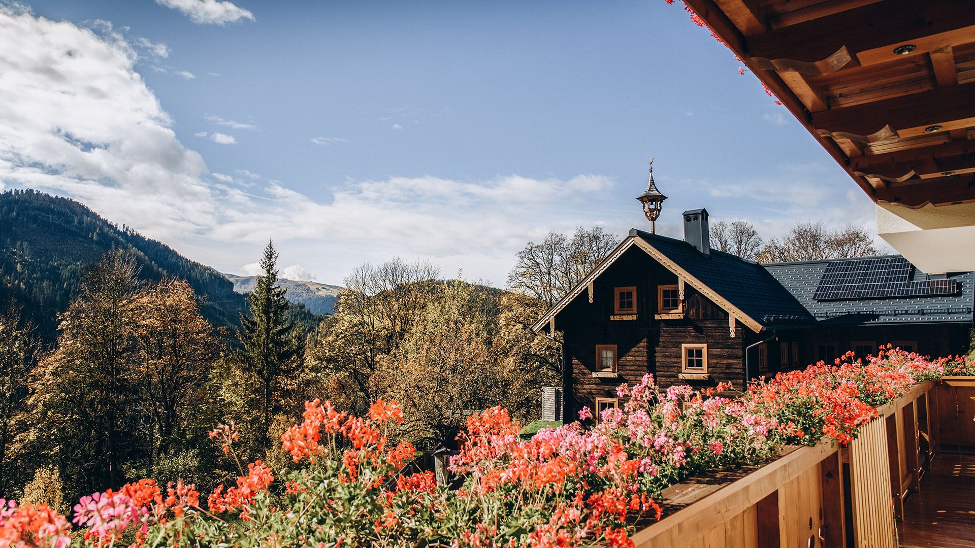 Sommerurlaub am Urlaub am Bauernhof - Grassbichlhof in Altenmarkt